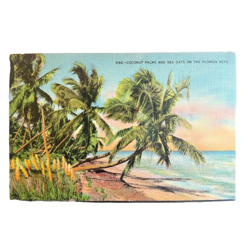 Vintage‎ Linen Postcard Coconut Palms in the Florida Keys Made in USA